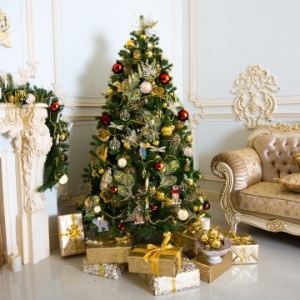 Встречаем новый год