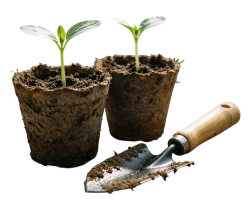 Все для рассады