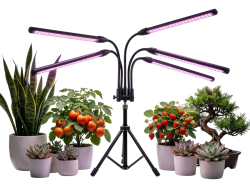 Светильники и лампы для растений