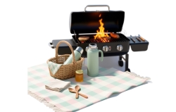 Пикник и барбекю