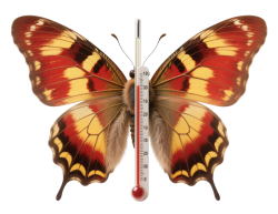 Аксессуары для цветоводства