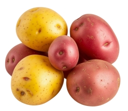 Картофель семенной