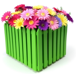 Цветники и клумбы