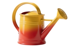 Лейки садовые