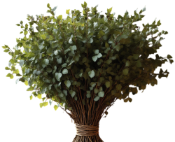 Банные веники