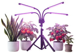 Светильники и лампы для растений