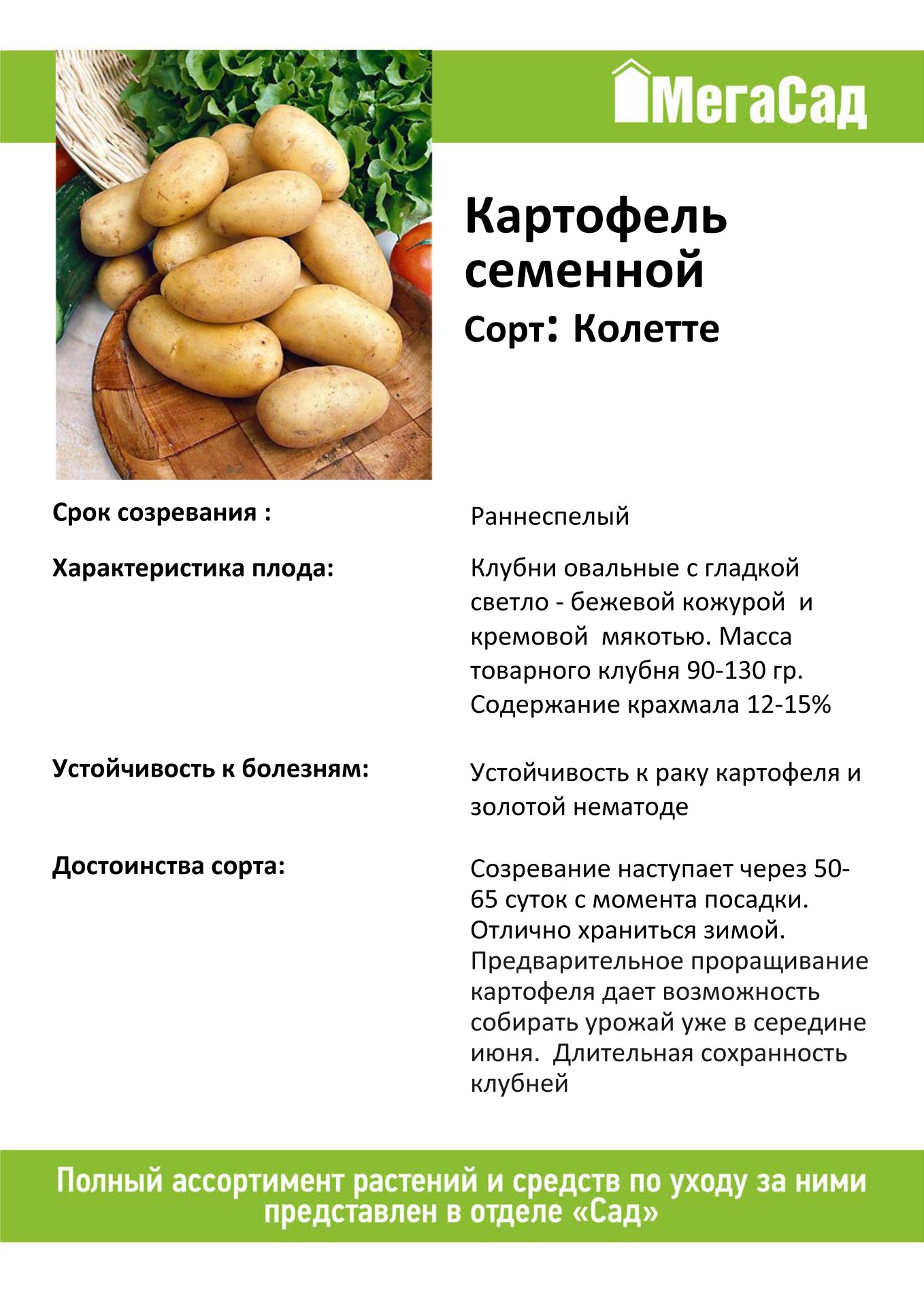 Картофель семенной 2кг сорт Колетте купить с доставкой в МЕГАСТРОЙ Наб.Челны